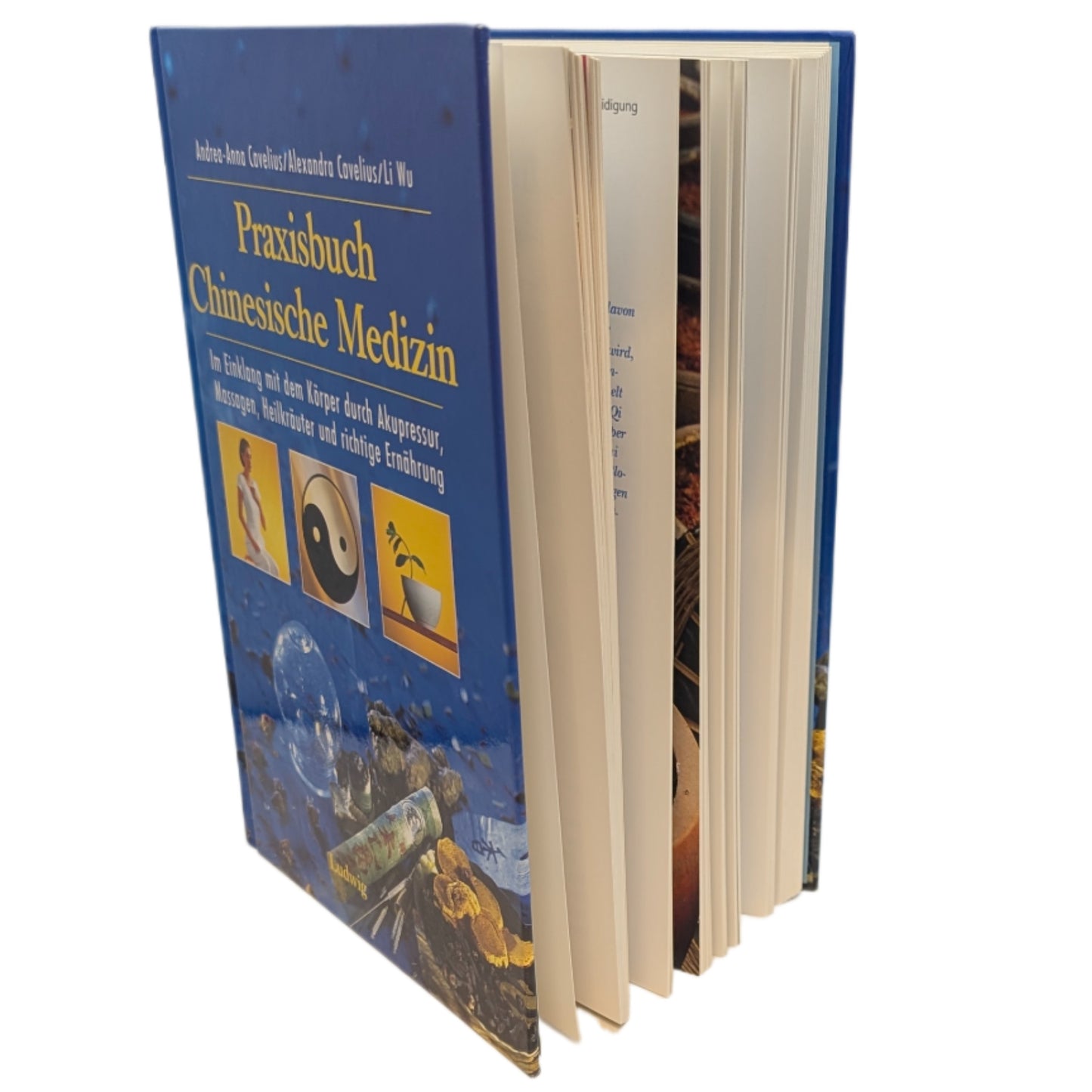 Praxisbuch Chinesische Medizin, Andrea-Anna Cavelius/Alexandra Cavelius/ Li Wu