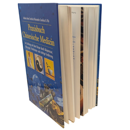 Praxisbuch Chinesische Medizin, Andrea-Anna Cavelius/Alexandra Cavelius/ Li Wu