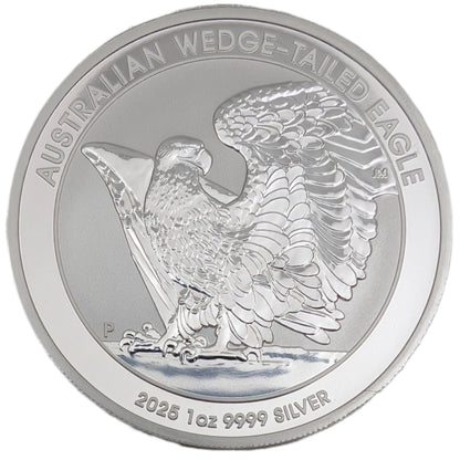 Keilschwanzadler