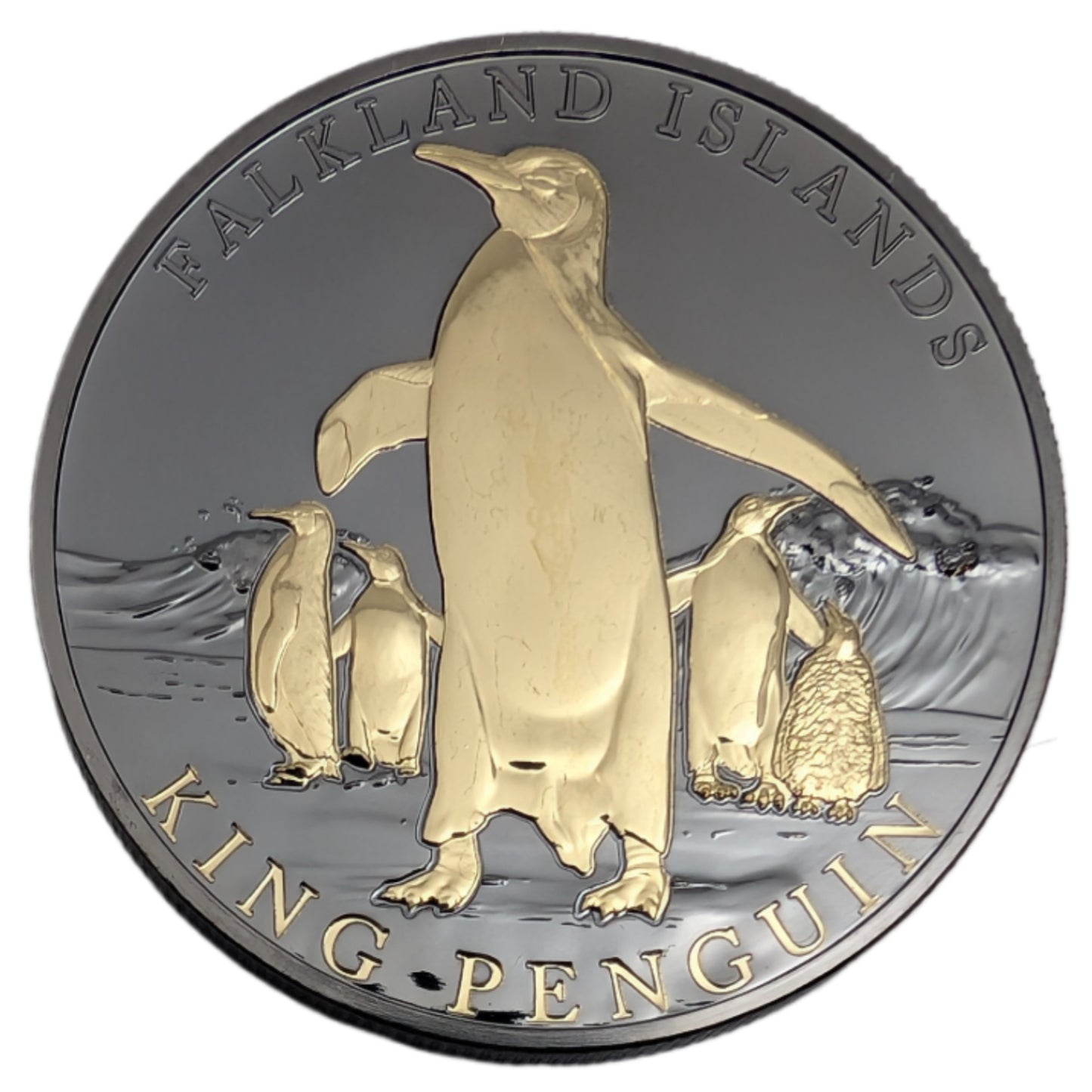 Königspinguin - Enigma Edition, mit Schwarz-Ruthenium und Gelbgold veredelt