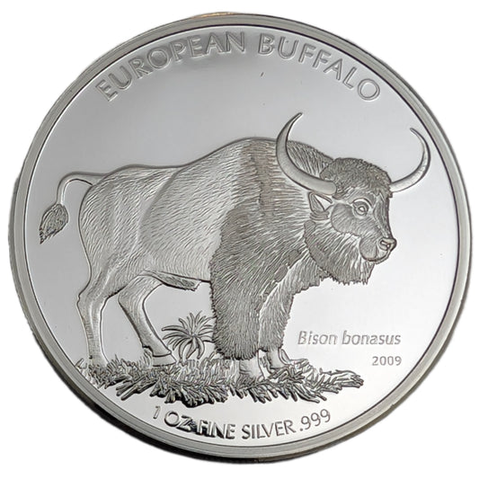 European Buffalo / Europäischer Büffel (Bison Bonasus)