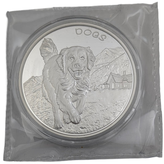 Hunde/Dogs