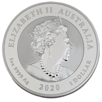 Quokka, Bullion