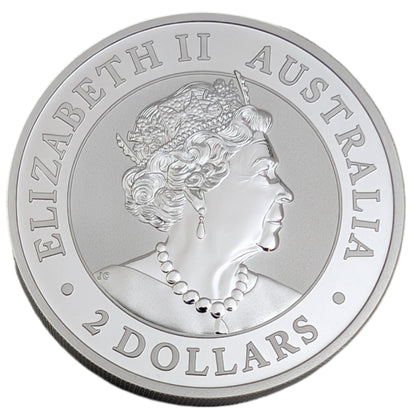 Welcome Stranger, Australian Nugget