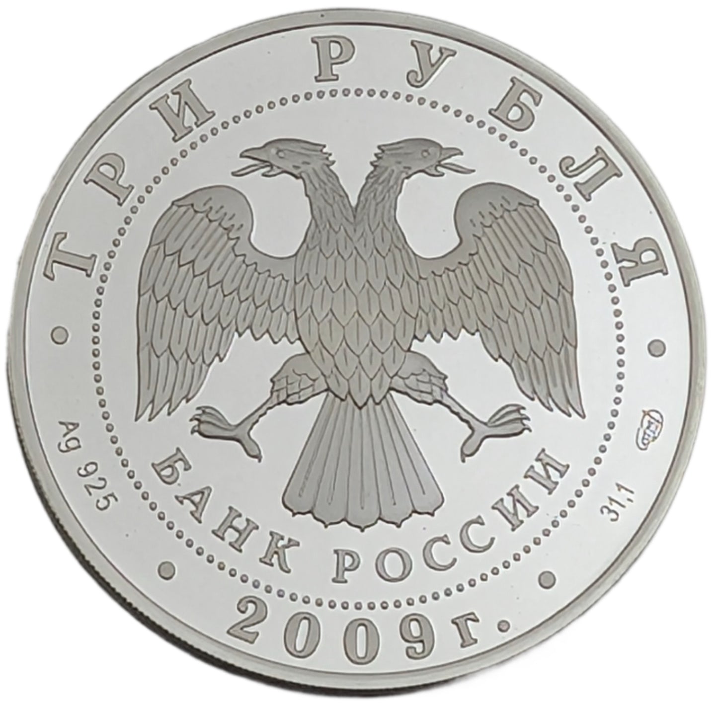 Bear/Bär - Fauna der ECAA-Mitgliedsstaaten, St. Petersburg