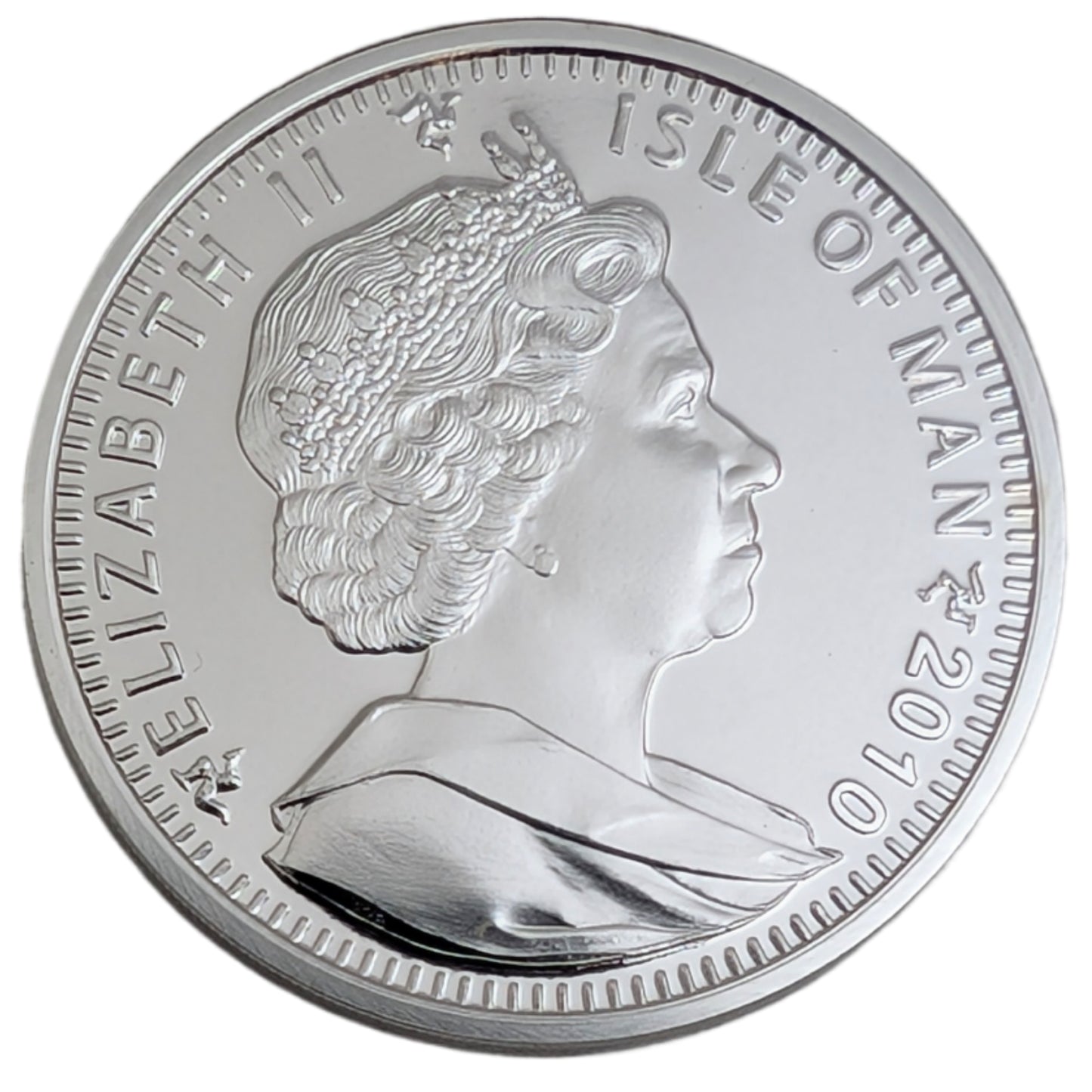 Abessiner Katze - Katzenserie