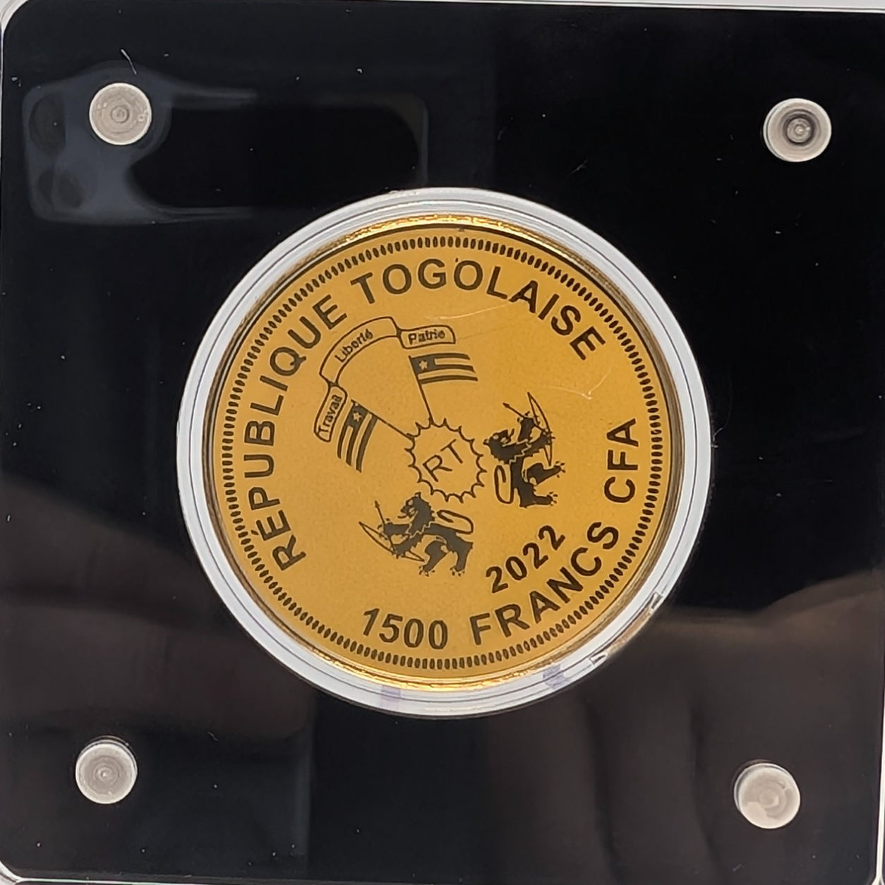 Big Five - Löwe, Nashorn, Elefant, Büffel, Leopard