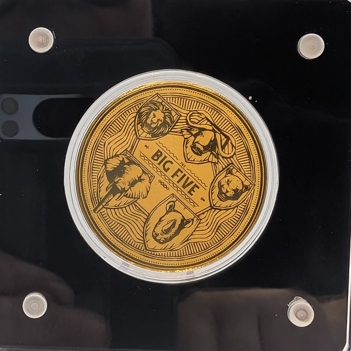 Big Five - Löwe, Nashorn, Elefant, Büffel, Leopard