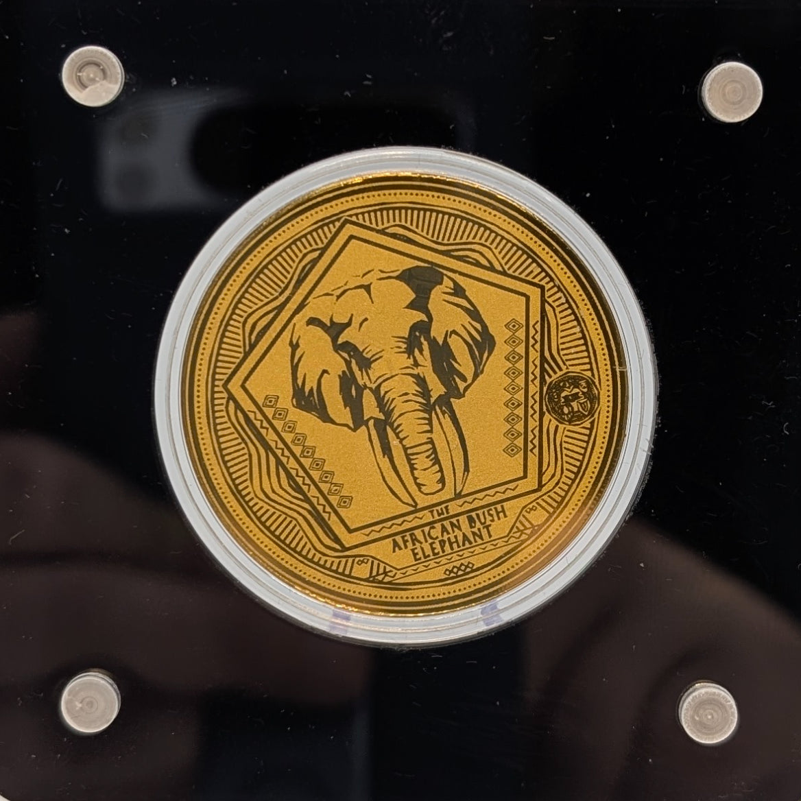 Big Five - Löwe, Nashorn, Elefant, Büffel, Leopard