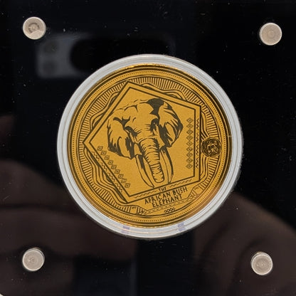 Big Five - Löwe, Nashorn, Elefant, Büffel, Leopard