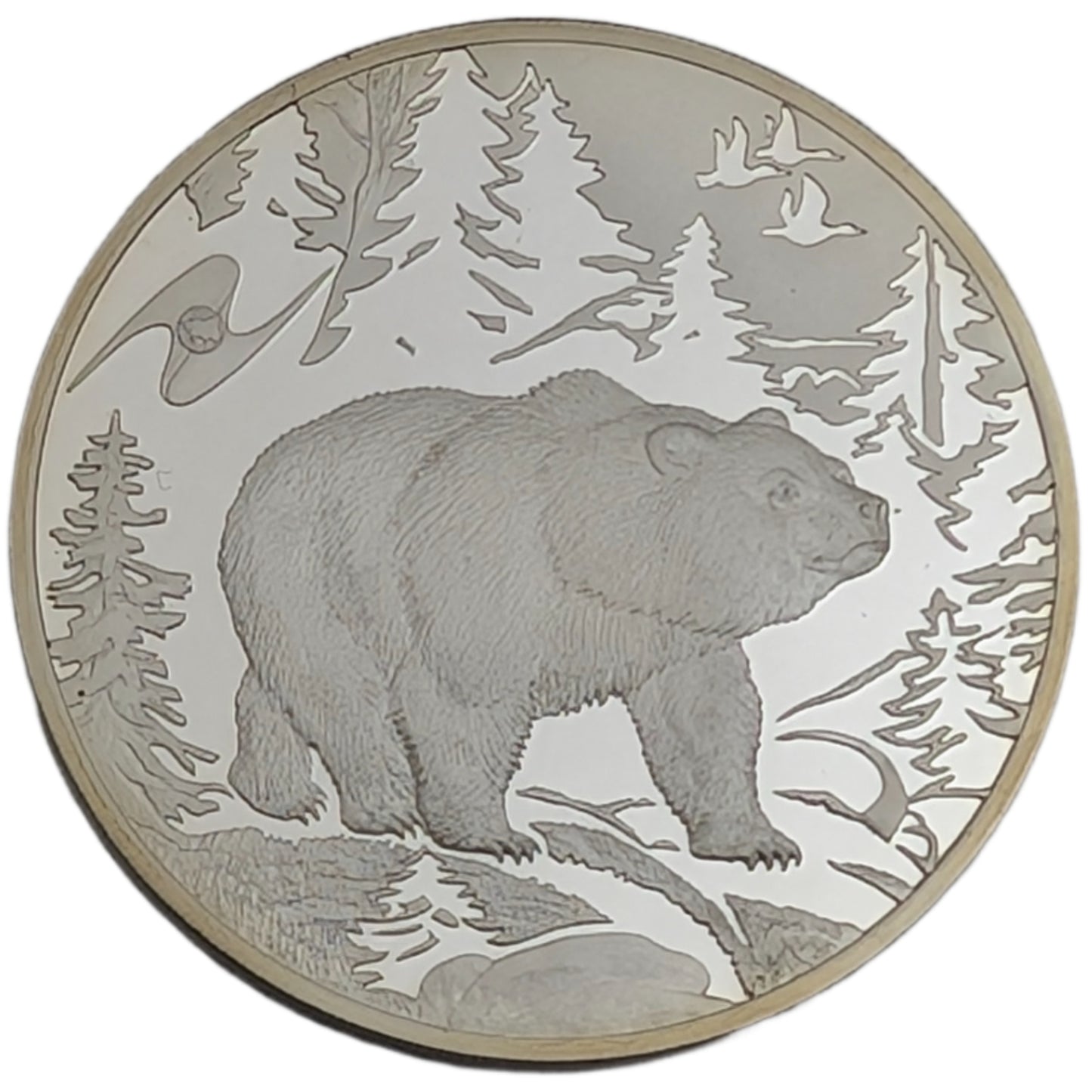 Bear/Bär - Fauna der ECAA-Mitgliedsstaaten, St. Petersburg