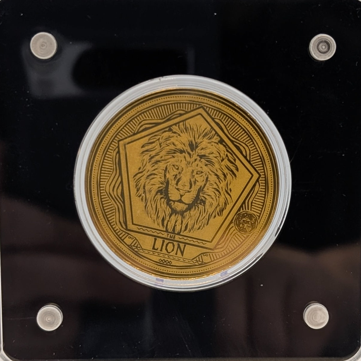 Big Five - Löwe, Nashorn, Elefant, Büffel, Leopard