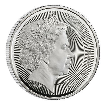 Portraits of Queen Elizabeth II. (The 4th Effigy) - Ian Broadley