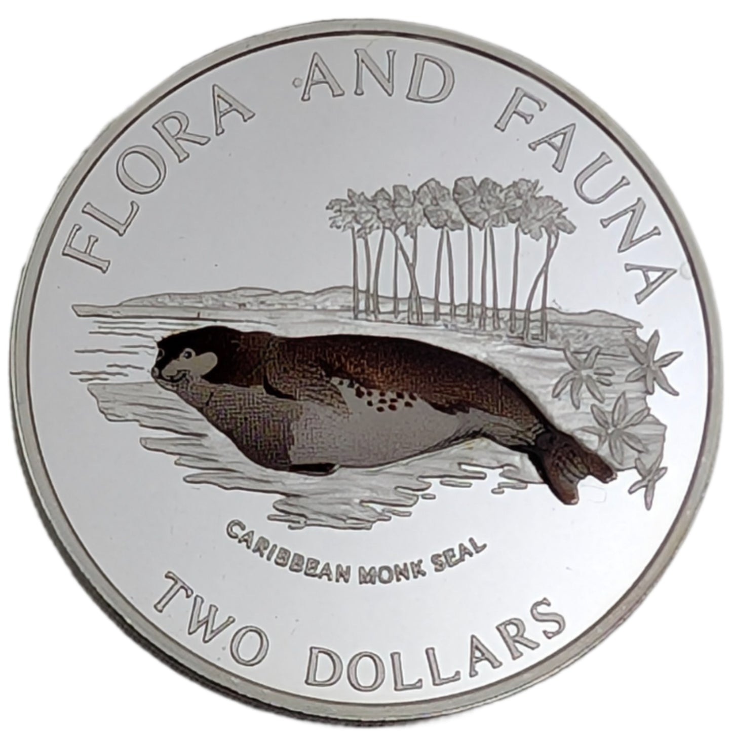 Caribbean Monk Seal/Mönchsrobbe - Flora und Faune, colored, farbig