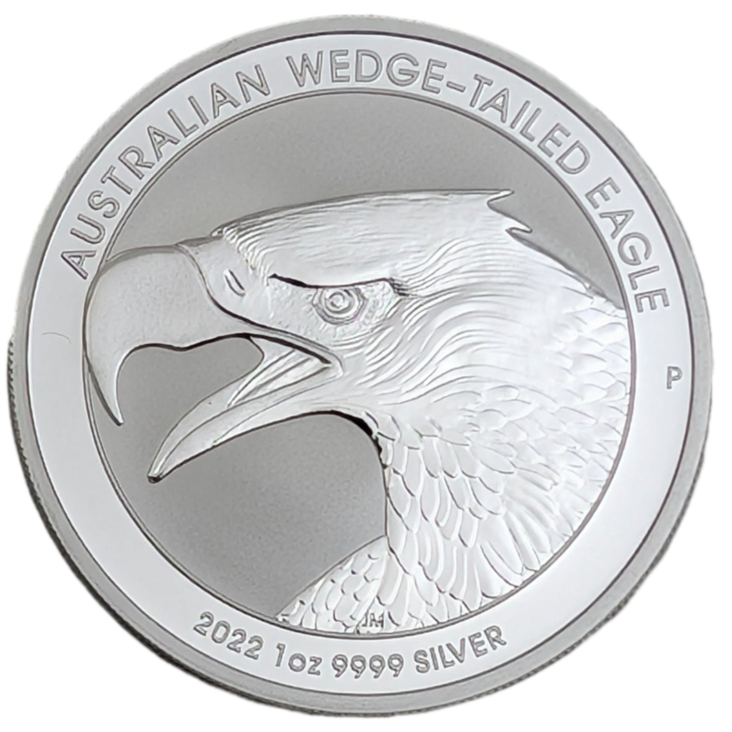 Keilschwanzadler/Wedge-Tailed Eagle, Bullion