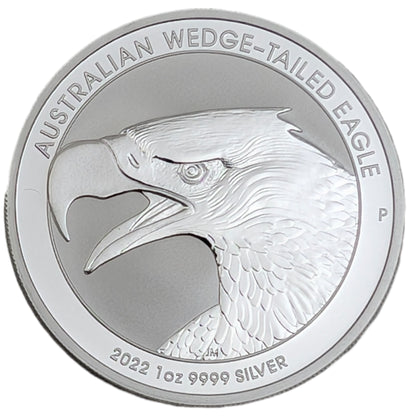 Keilschwanzadler/Wedge-Tailed Eagle, Bullion