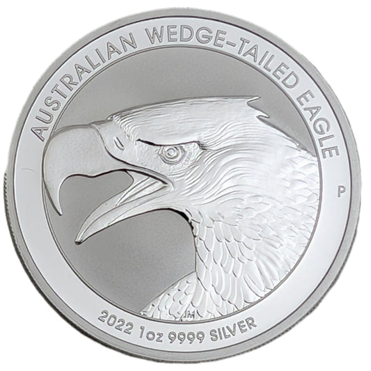 Keilschwanzadler/Wedge-Tailed Eagle, Bullion